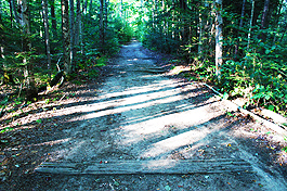 Owl's Head old railroad flat trails - Lincoln Woods Trail